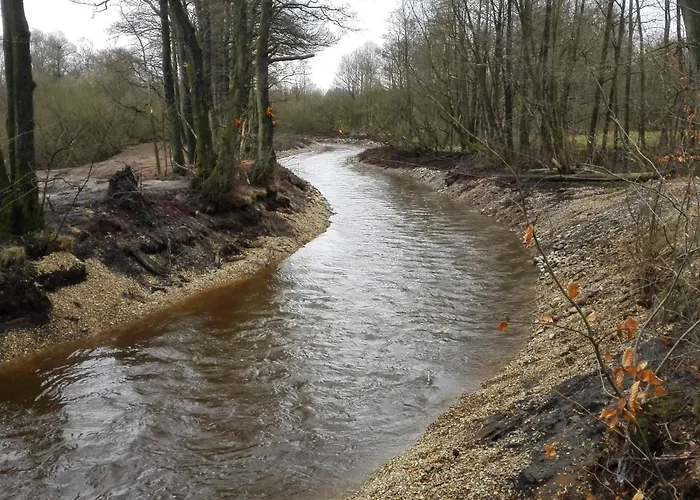 6 Person In Feriehus